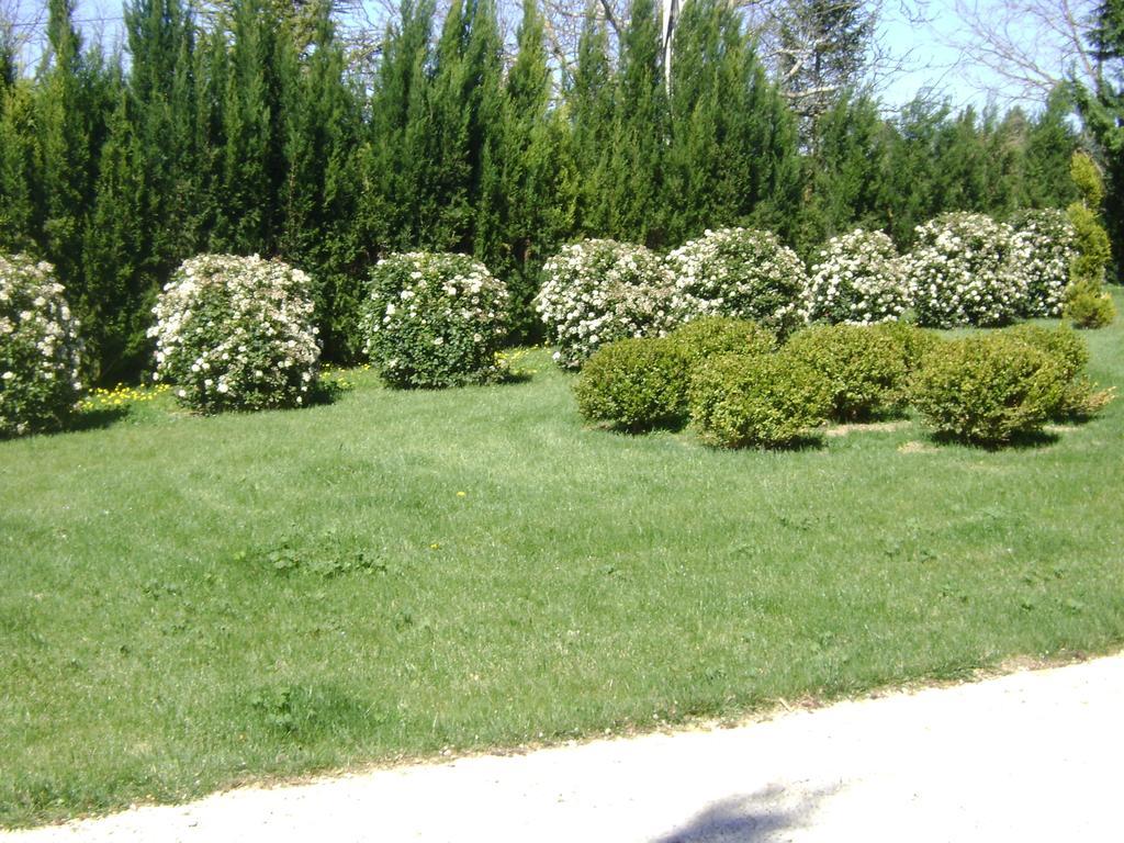 Bastide Des Lauves Βίλα Αιξ-αν-Προβάνς Εξωτερικό φωτογραφία